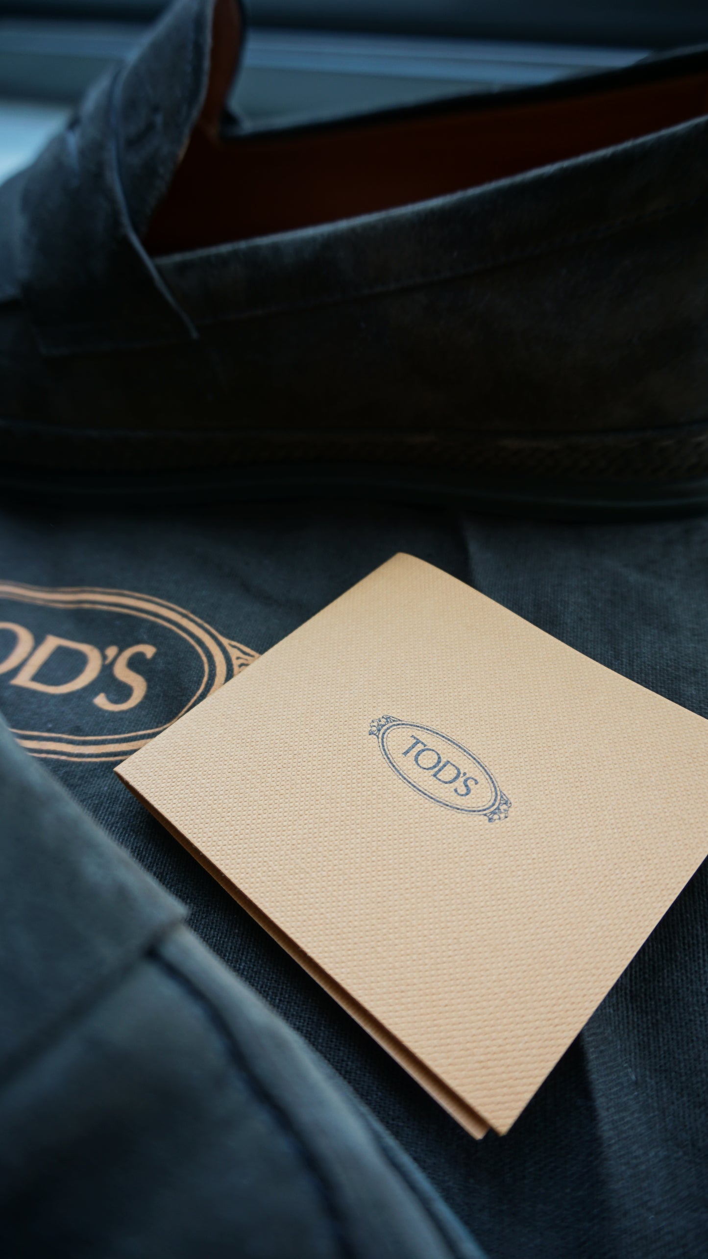 Tods Brown Suede Loafers